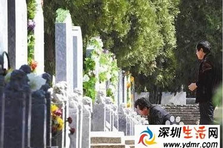 清明节买什么去祭坟