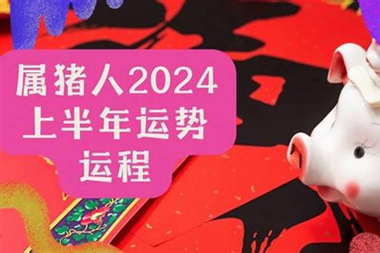 属猪人2024年运势运程如何