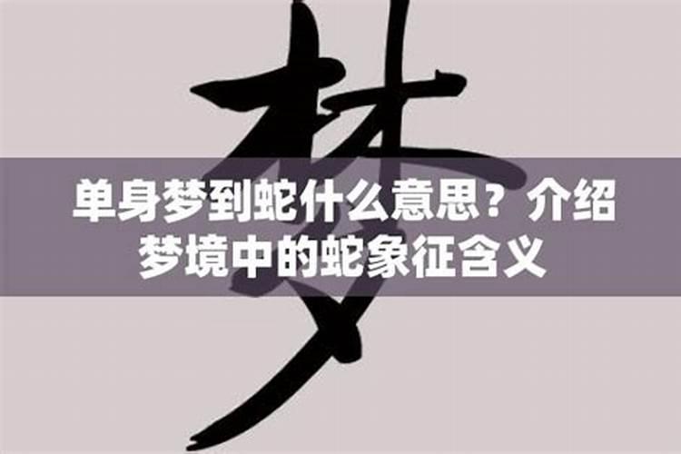 单身梦到蛇什么意思