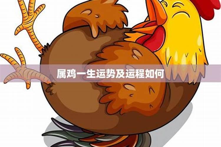 今年兔犯太岁的属相是哪几个生肖呢