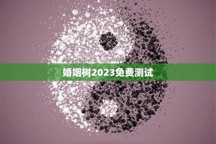 婚姻树免费测试2021