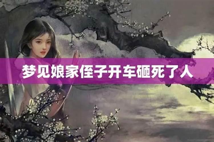 梦见我侄子死了预示着什么