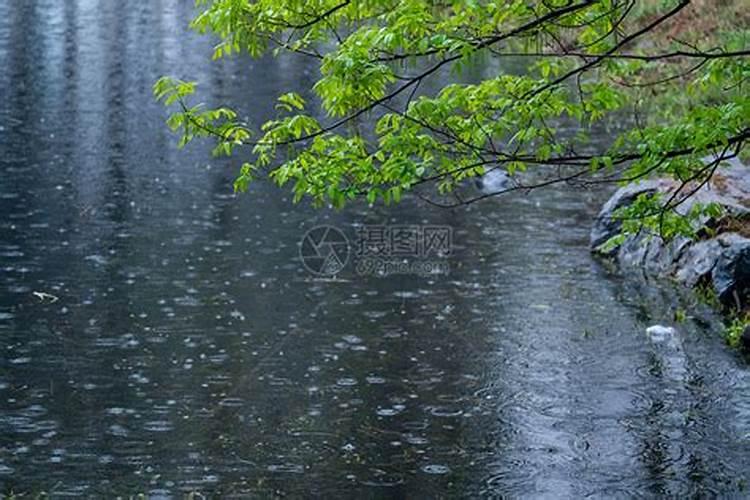 清明节哪里有雨雪