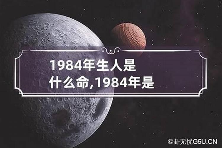 1984年生人12个月的运势如何