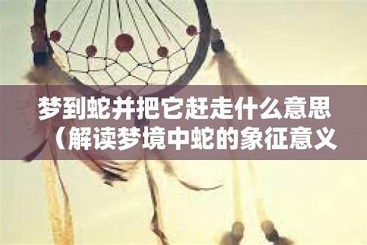 单身的人梦见蛇赶走又回来了啥意思