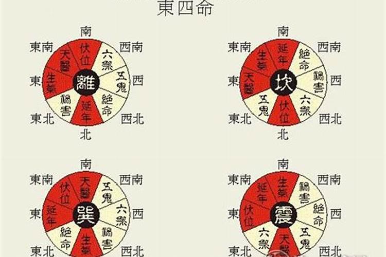 生肖属虎2024年运势详解