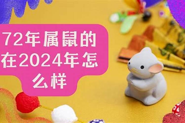 属鼠人在2024年的运势