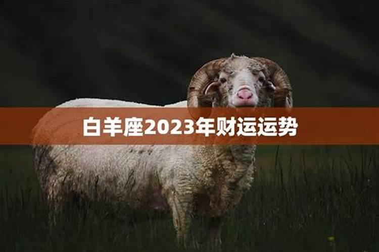 白羊座2023年的运势