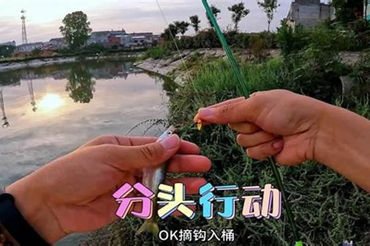 梦到女友钓鱼落在水塘里