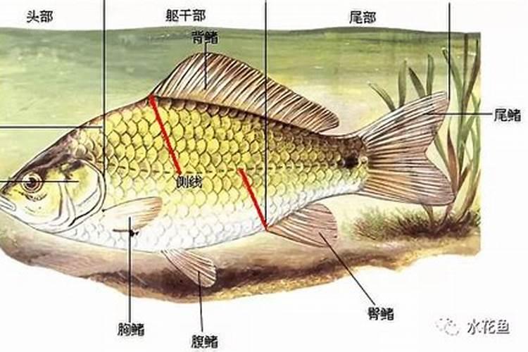 怎么看生辰八字对应吉位