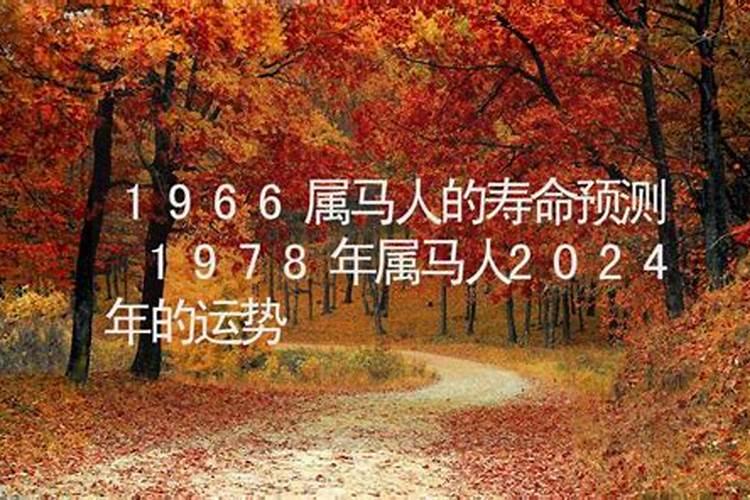 1978年出生的人运气