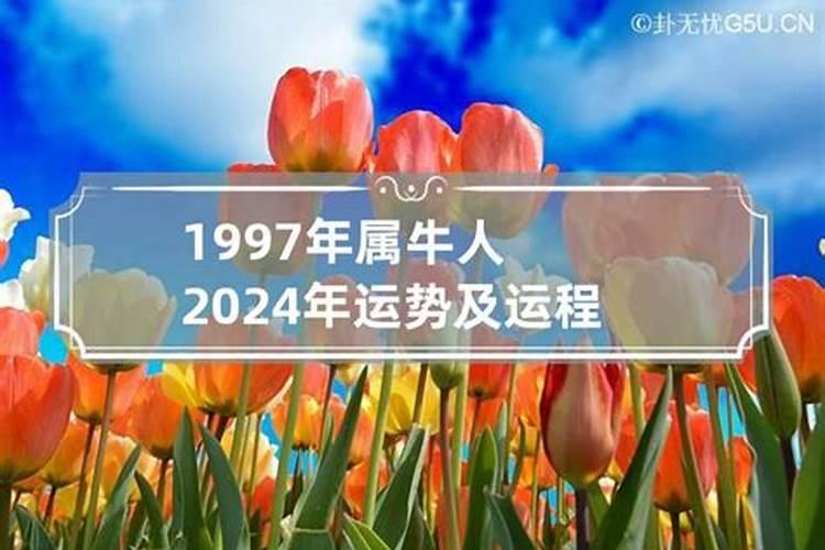 1997年属牛人2022年运势及运程