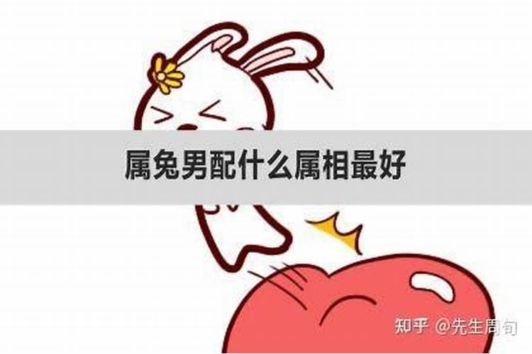 男兔配什么属相最不合适婚姻