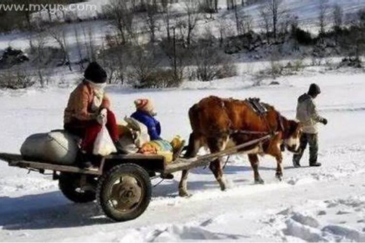 梦到亲人死去预兆什么