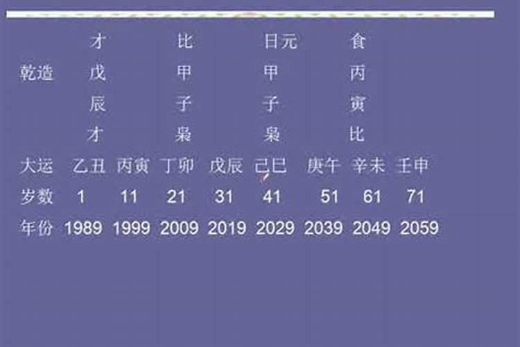 12生肖兔2024年运程