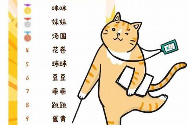 冬至出生的猫叫什么名