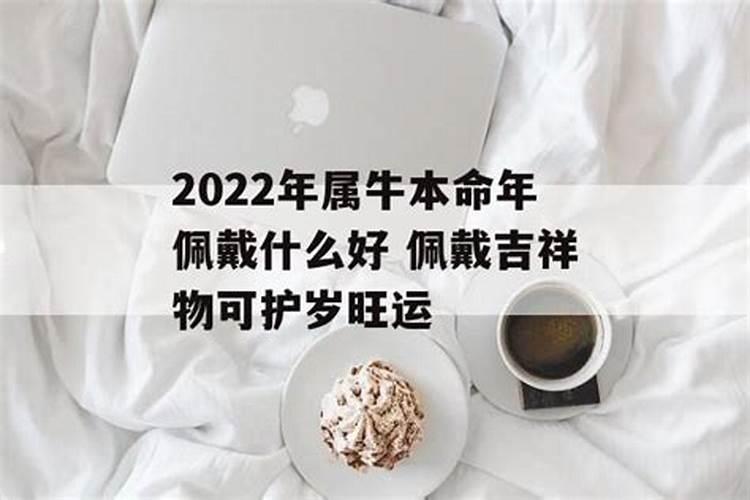 2023生肖牛佩戴