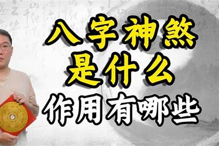 八字犯神煞是啥意思