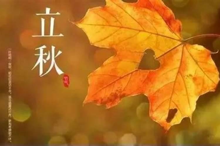 立秋可以干些什么