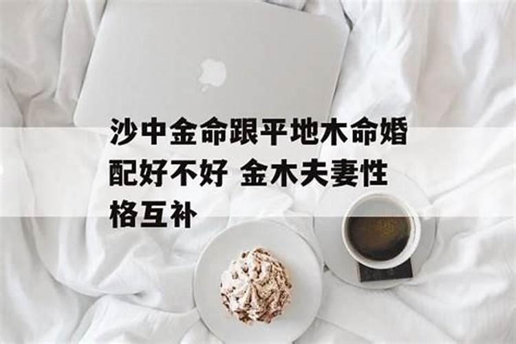 金命跟金命姻缘好不好