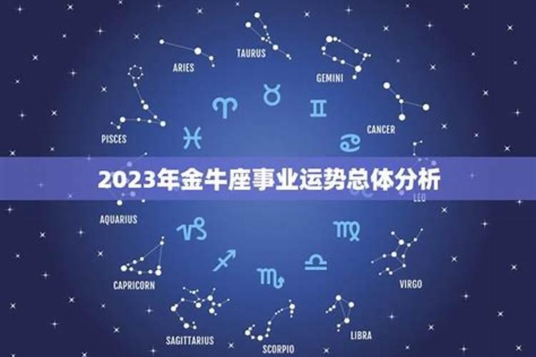 金牛座2023事业