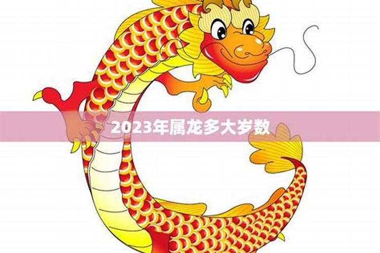 属龙的2023年多大了