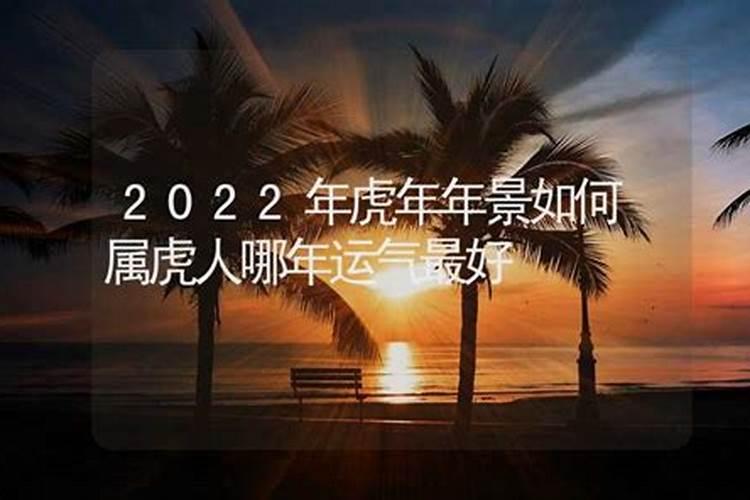 属虎在什么年运气最好