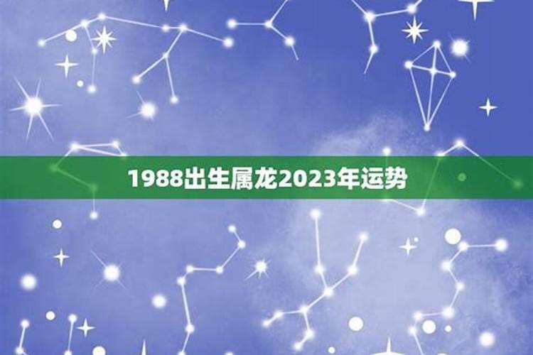 2023年龙男的全年运势