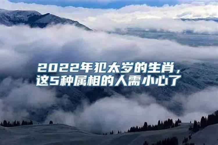 2022犯太岁的四种人