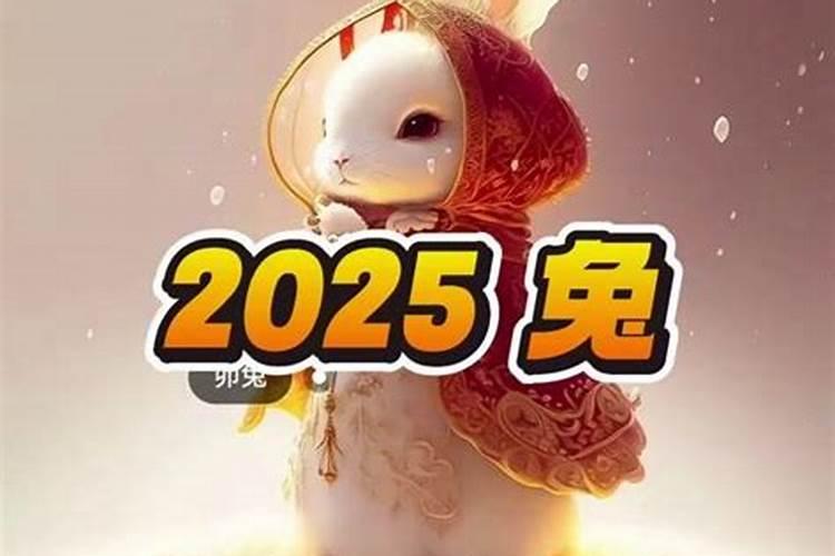 属兔今年几月冲太岁