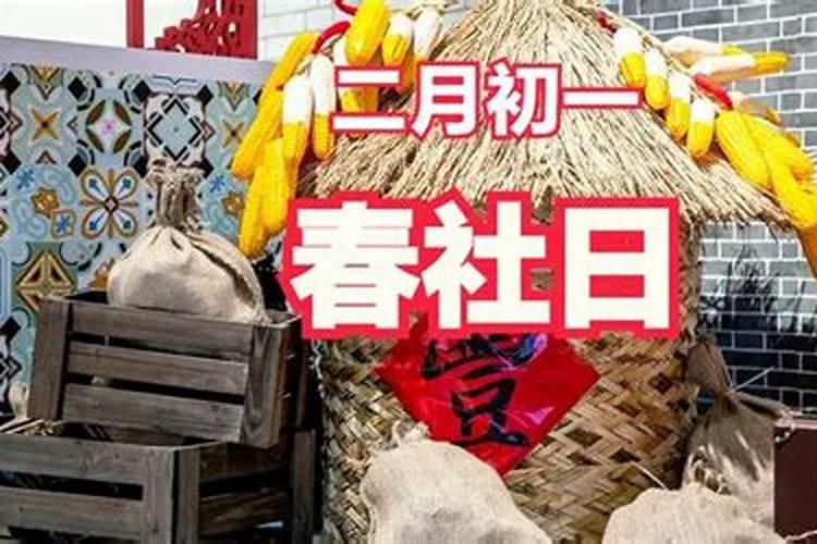 一九六九年属鸡今年的运程