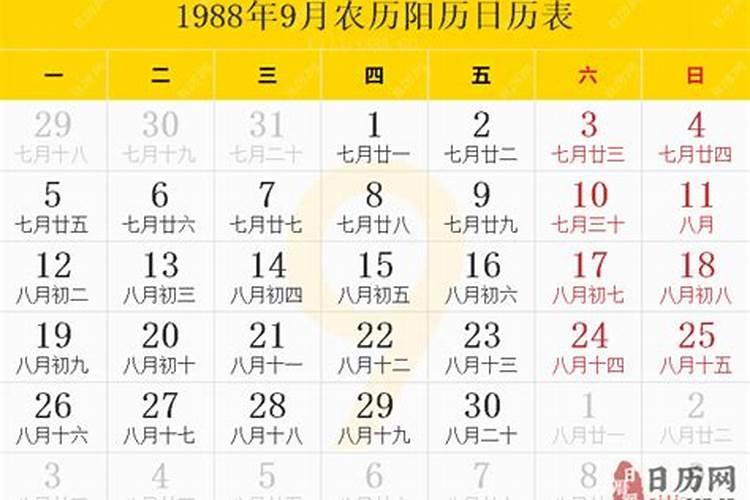 1985年2023年的运程与运势