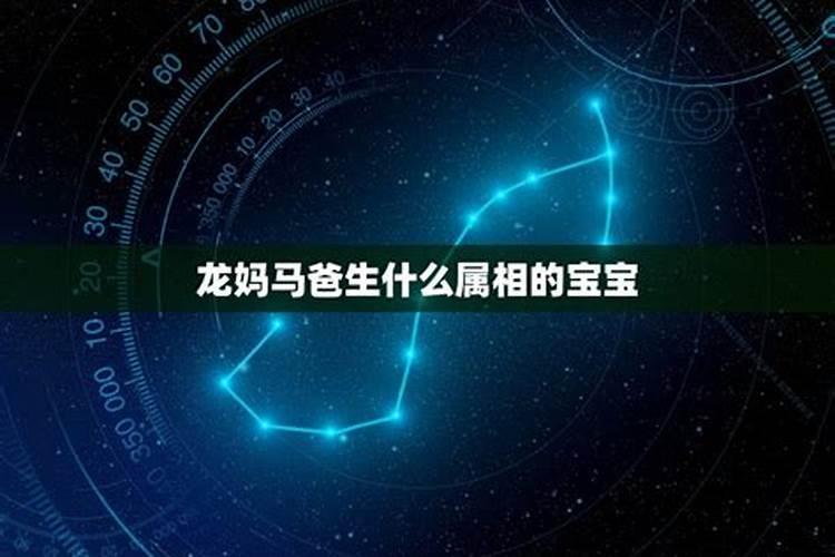 属马的爸妈生什么宝宝最好