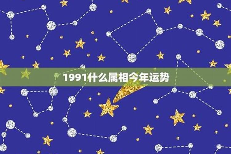 1991跟什么属性合婚最好运