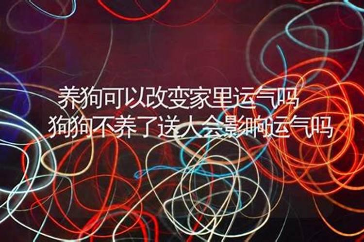 养狗真的会影响运势吗