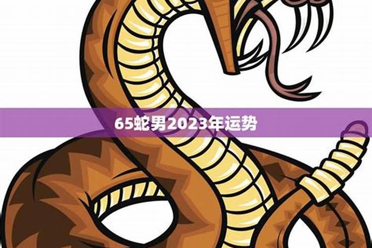 属蛇男性2023年的运势