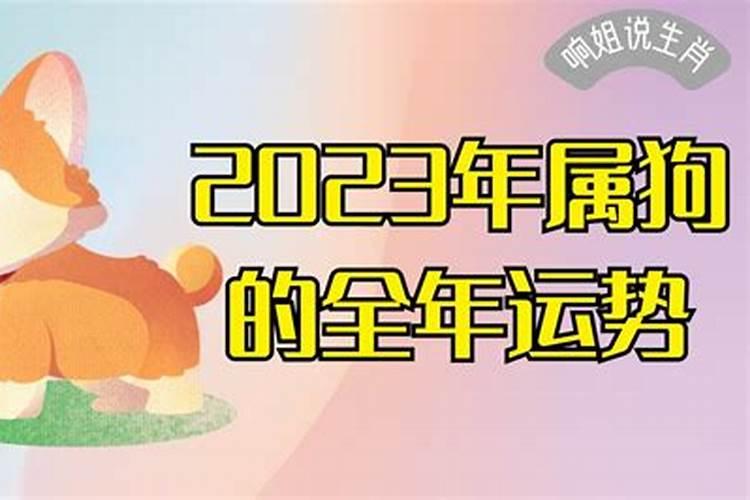 2023年属狗的全年运势女