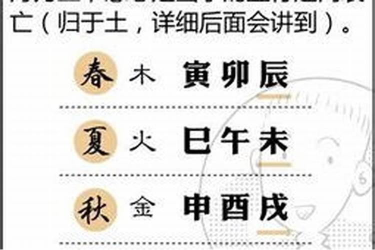 八字寅代表什么意思