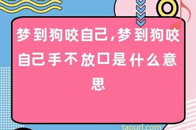 梦见狗咬自己的手不放把狗砍死了什么意思