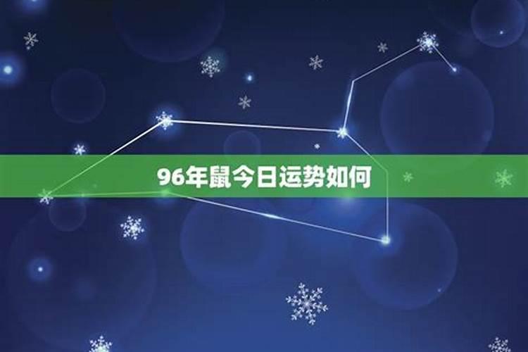 96年的鼠今年运气如何