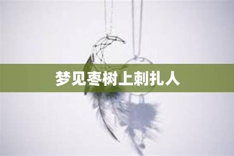 梦见酸枣树刺扎我