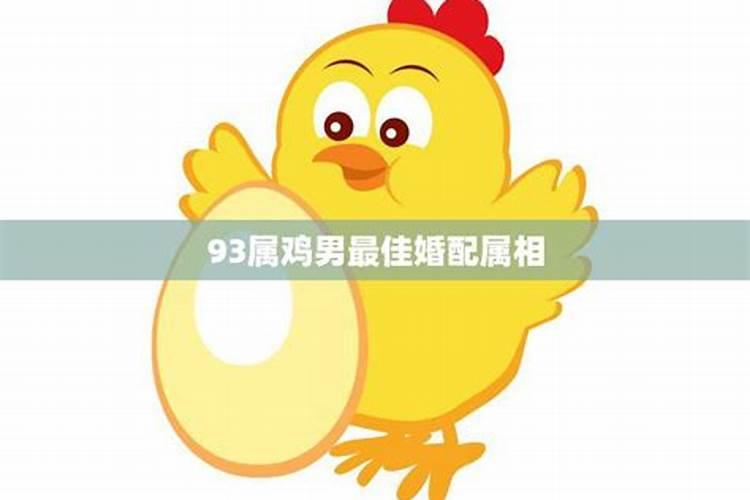 93属鸡的和什么属相合适