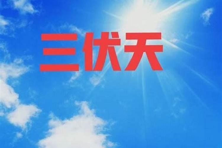 夏至三更入伏是什么意思