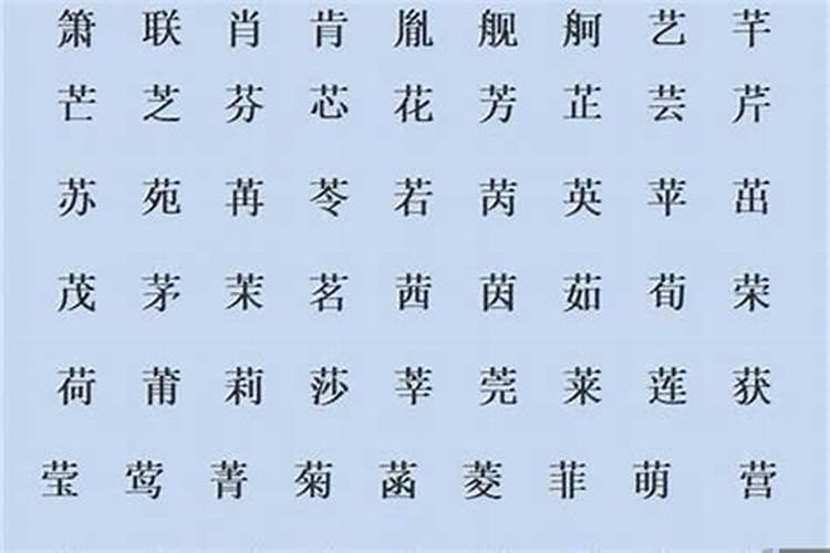 八字带火的女孩名字有哪些