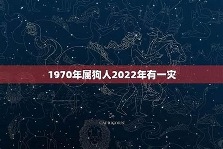 1970年男属狗的2023年运程