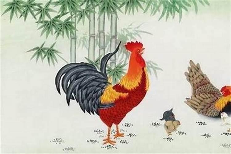 鸡年69年生的运气