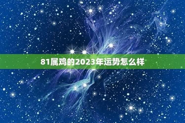 81属鸡的人2021年运势及运程