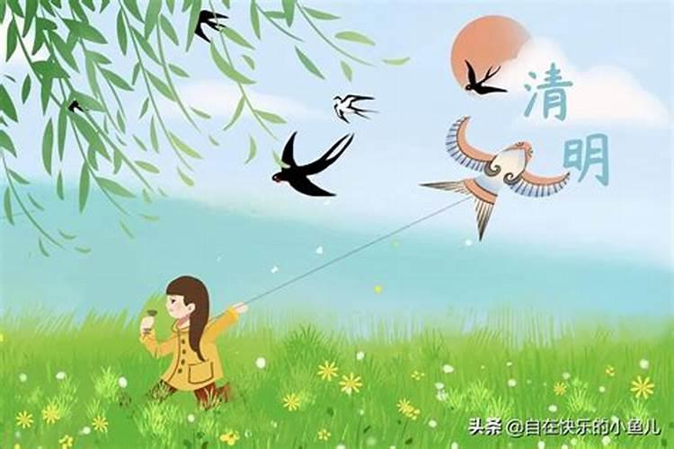 清明节都有什么节日