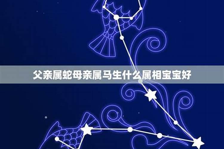 老公属蛇老婆属马生个什么宝宝好