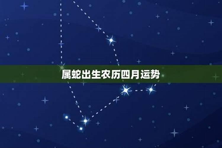 农历4月初八蛇年生在今年运势怎样